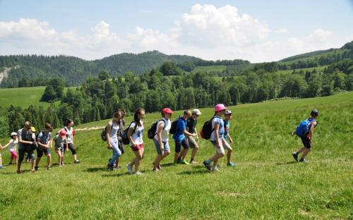 lso_pieniny_2015_009.jpg