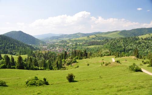 lso_pieniny_2015_019.jpg