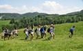 lso_pieniny_2015_009.jpg